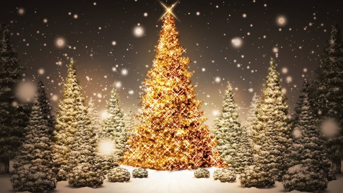 snowytrees (2).jpg (786 KB)